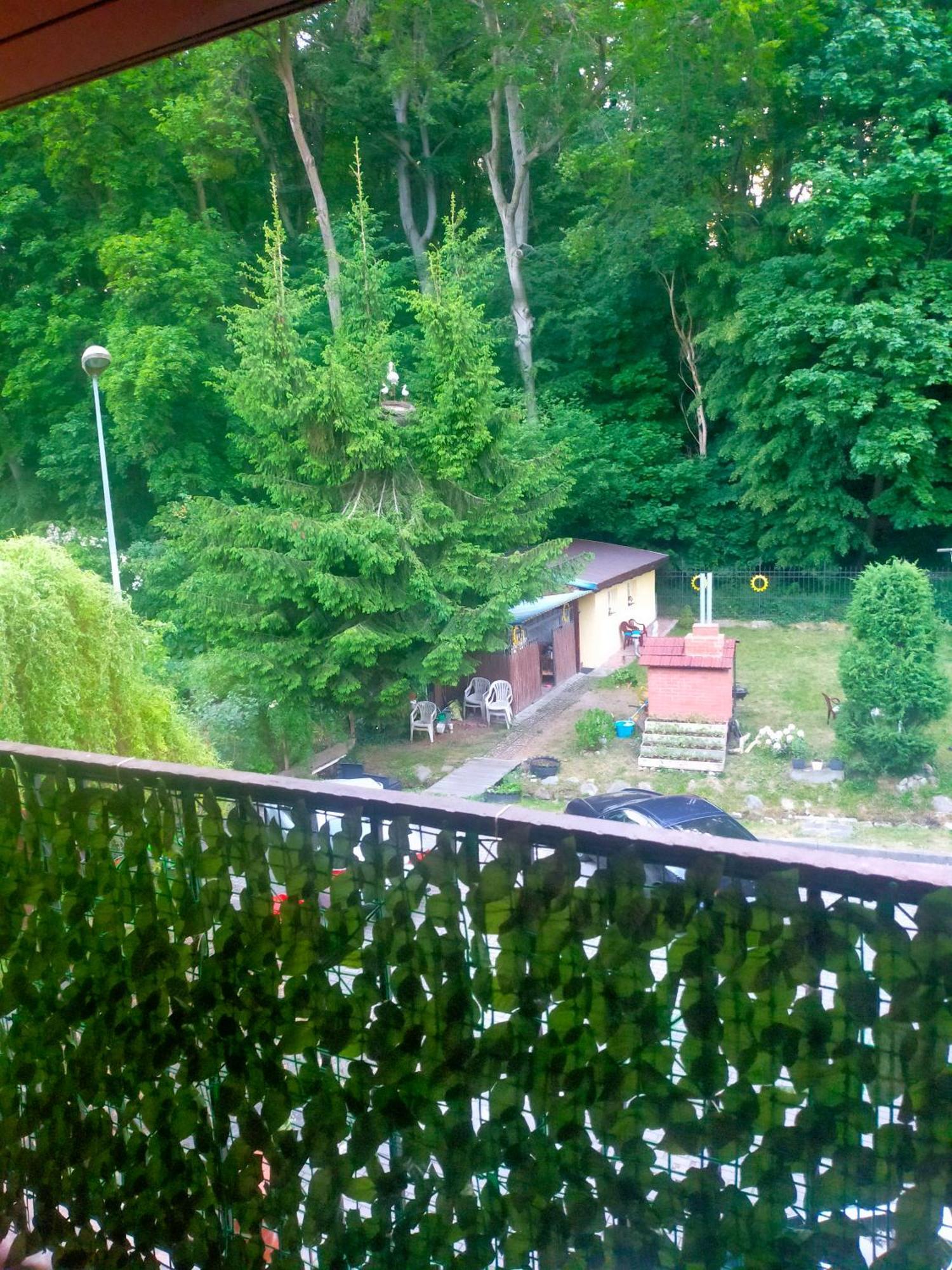 Hostel Madeira Gdańsk Kültér fotó